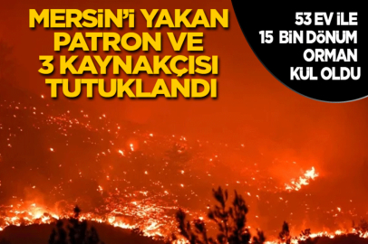 Mersin'de Kaynak Yaparken Oorman Yangınına Neden Olan Firma Sahibi ile 4 Kişi Tutuklandı